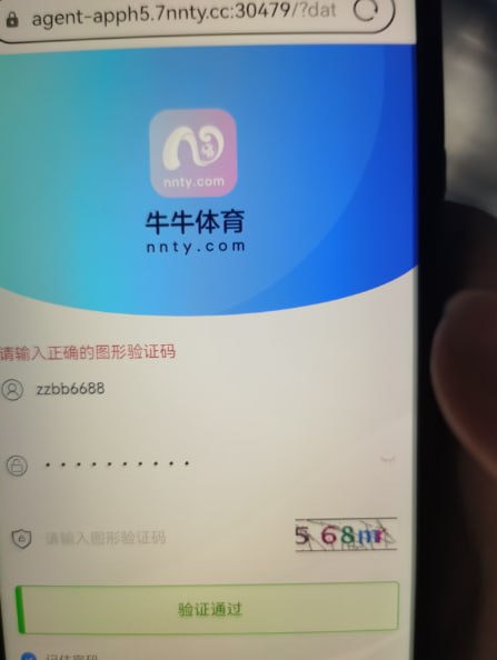 photo_2025-08-08_14-07-25 (7).jpg